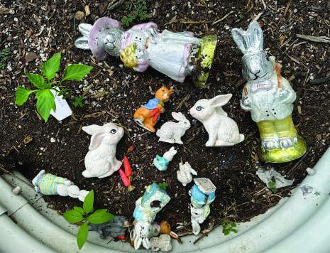 Well, we don’t know about you, but to us this looks like a fine little rabbit family.