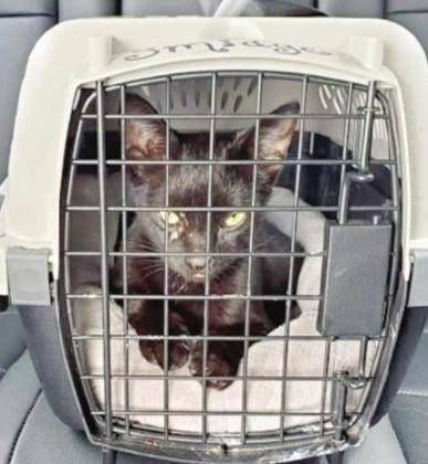 Evil plan thwarted. Article Image Alt Text