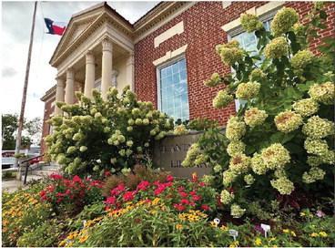 Have you noticed how even in hot and dry weather Atlanta Library’s flowers are abundant? Thank Theresa Mitzler, member of the Cass County Garden Club, for her volunteer — and almost daily — efforts. Around Atlanta