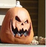 This Jack-o-Lantern is forbidding. Notice he has only one eye and looks as if he could use a few more teeth. Maybe he could be the Devil’s pet. This Jack-o-Lantern is forbidding. Notice he has only one eye and looks as if he could use a few more teeth. Maybe he could be the Devil’s pet.