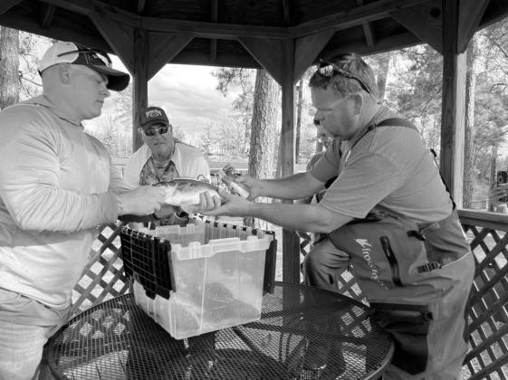 BassCashBash founder P.D.Vinson (right) gets some help from the Fort Polk Bassmasters in tagging fish ahead of the upcoming 2023 Toledo Bend Bass-CashBash event set for March 1 - July 4. BCB is currently underway on Sam Rayburn, where 200 bass are wearing Bass Cash
