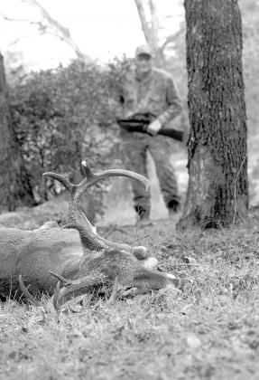 Veteran hunter offers useful tips for recovering deer that don’t fall in their tracks