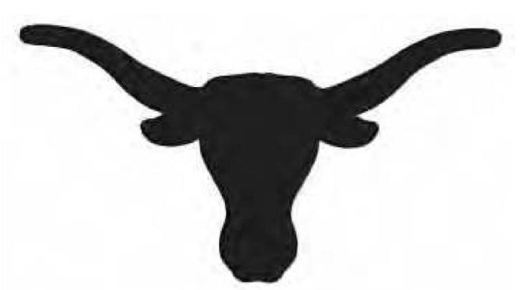 Longhorns ranked in top 10 for both XC and basketball