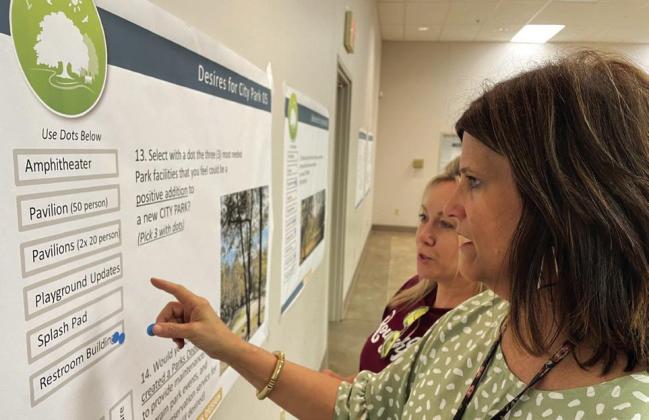 First public meeting on Louise Street Park revamp