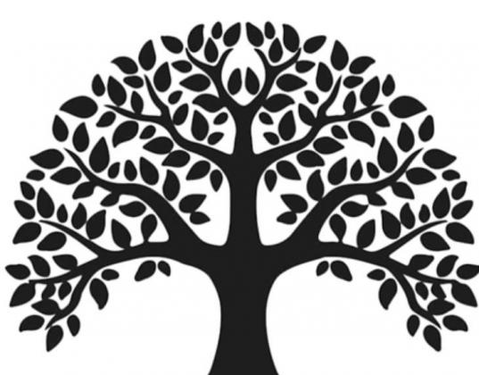 IT’S ALL ABOUT... The Family Tree