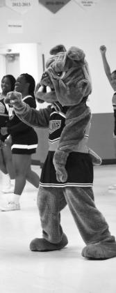 STAAR Pep Rally
