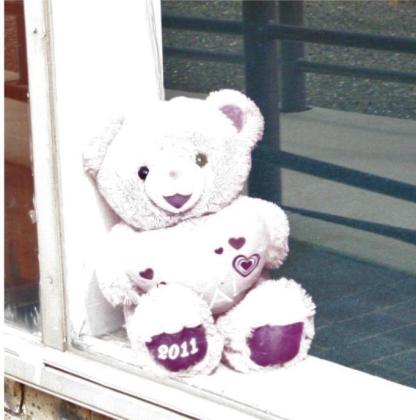 Teddy bear hunting