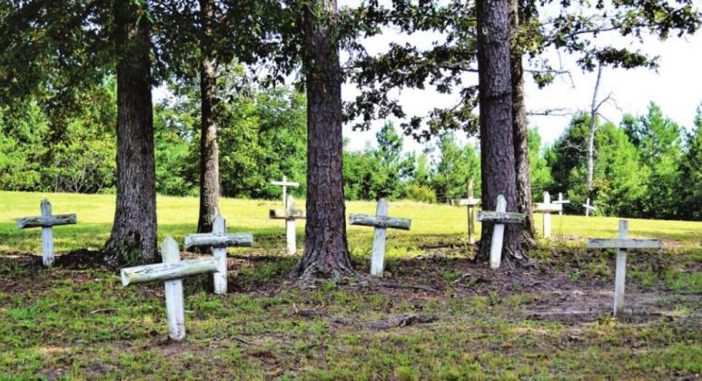 The forgotten paupers of Mockingbird Hill