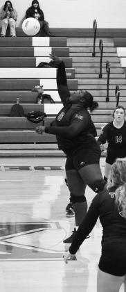 Local volleyball action shots