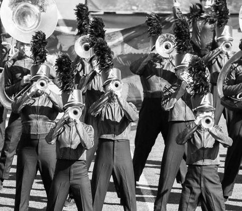 Area bands make another appearance on big stage