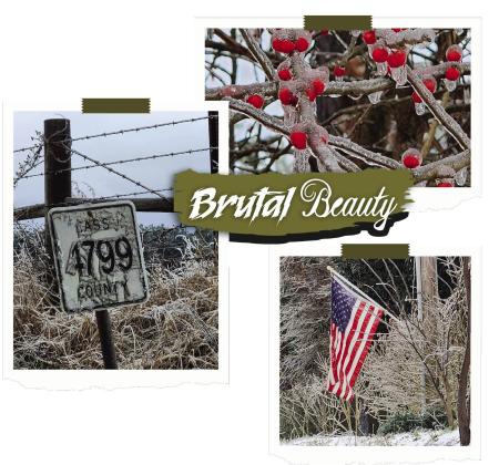 Local Amber Pond snapped these photos of the brutal but beautiful ice storm this past weekend. See more area photos on page 2.