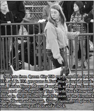 Queen City FFA, Jr. FFA students compete in Ft. Worth Stock Show