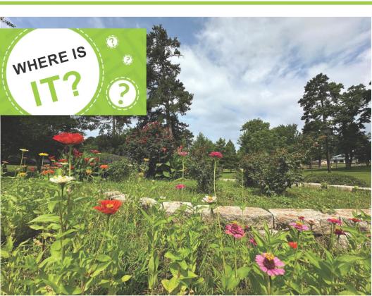 Flowers, beds, paths and scenic views such as above abound on the lawn of the Atlanta District Headquarters of the Texas Department of Transportation. The restful retreat is a blessing to Atlantans. It is like having a highly-cared-for park in the middle Flowers, beds, paths and scenic views such as above abound on the lawn of the Atlanta District Headquarters of the Texas Department of Transportation. The restful retreat is a blessing to Atlantans. It is like having a highly-cared-for park in the middle