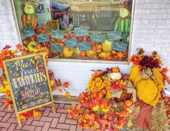 Scarecrows galore Article Image Alt Text