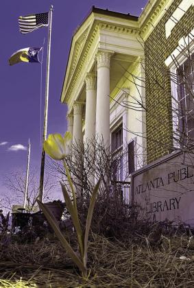 	If one tulip is all that can get started in February at the Atlanta Library’s front garden