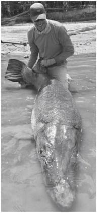 t Kentucky angler Art Weston with the 283 pound alligator gar he caught and released at Sam Rayburn Reservoir on September 2. Weston, who was fishing with guide Kirk Kirkland, fought the huge fish for nearly three hours using spinning tackle and six pound GARGANTUAN CATCH