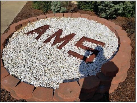 AMS Teen Leadership Class beautifies campus