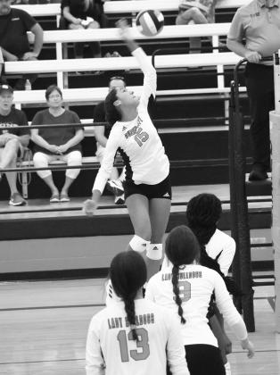 Volleyball