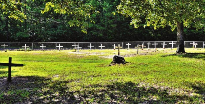 The forgotten paupers of Mockingbird Hill
