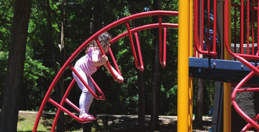 summer day at the park photos