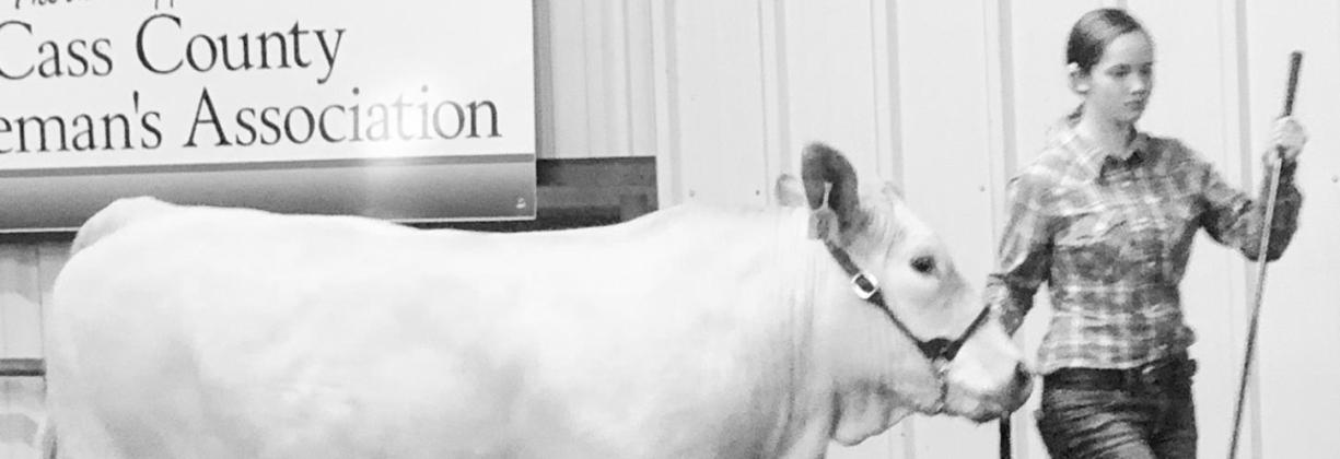 Hardin places first, named Grand Champion at Livestock Show