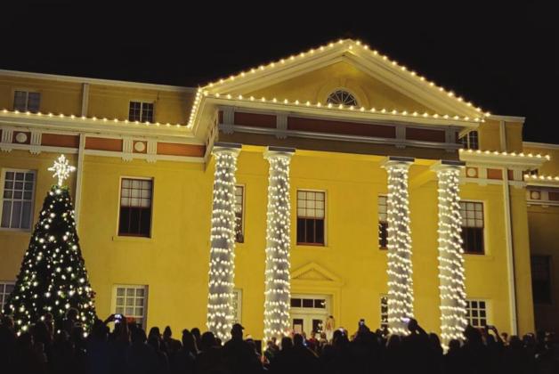 Linden Christmas Tree Lighting
