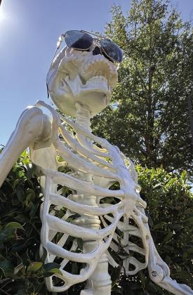 Them bones, them bones