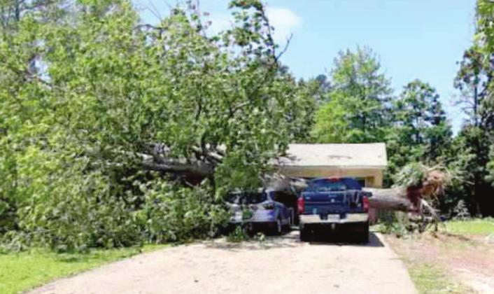 Microburst causes damage throughout county