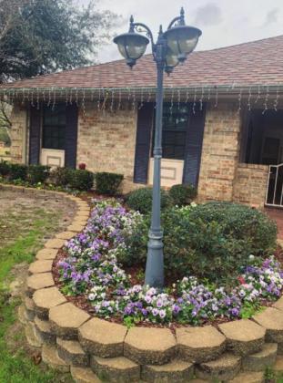 Linden Garden Club