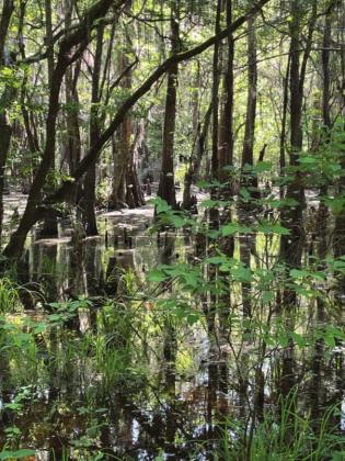 Trail-of-the-Month May 28th - Starr Ranch