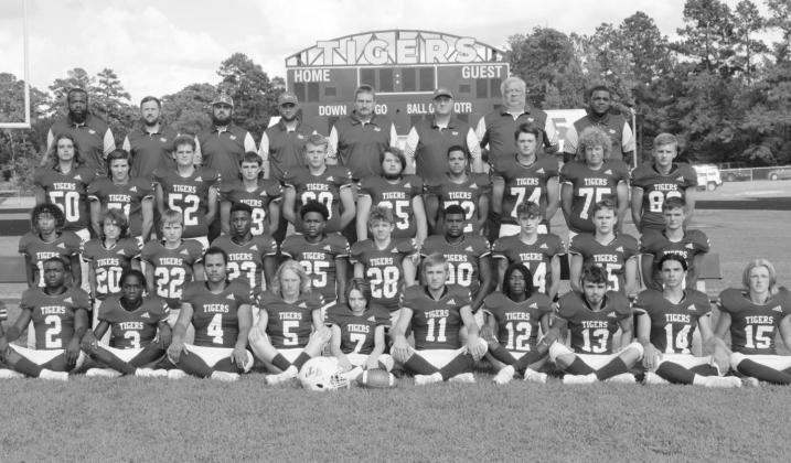 Tigers litter All-District list