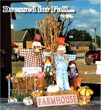 Dressed for Fall...