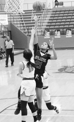 Lady Rabb Kym Sheppard puts up a floater in the lane against Elysian Fields. Basketball