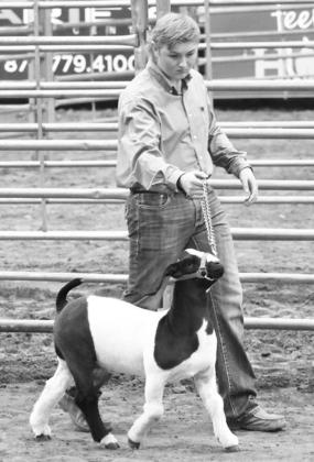 QC trio compete at 4-H classic livestock show