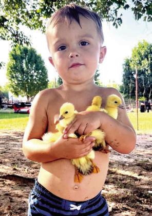 Fehren  Luce of  Bloomburg took this winning  shot of  Chandler  Williams loving on his baby  ducks.