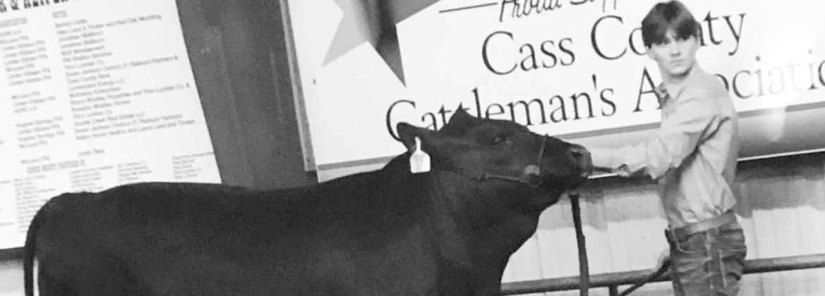 Hardin places first, named Grand Champion at Livestock Show