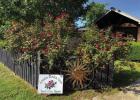	Linden Garden Club Yard of the Month