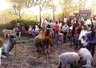 Perhaps the most real event of any festival is the petting zoo. Here one can be close to living beings usually seen only on the video screen. One wants to be friends with the animal. Maybe give it a hug. Atlanta Hometown Christmas