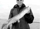 Bizarre appeals to this fisherman as he travels
