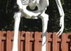 Poor Mr. Bones. Oh, where is your head? There it is, right between your feet. You just forgot about it. May be dementia. But look, no headaches anymore.