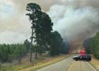 Large wildfire burns 50 acres in Linden