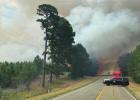 Smoke billows over the roadway in Cass County on the Cass 4439 Fire on July 29, 2022. Photo courtesy of C. Mayo. Credit: Texas A&M Forest Service. Large wildfire burns 50 acres in Linden