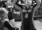 Volleyball