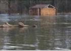 The large log (center) floated into the Knights Bluff’s rest room yard from somewhere across the lake. Other logs, floating tables and playground equipment are behind the building. The large log (center) floated into the Knights Bluff’s rest room yard from somewhere across the lake. Other logs, floating tables and playground equipment are behind the building.