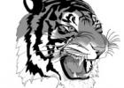 Linden-Kildare Tigers, Lady Tigers land on All-District lists