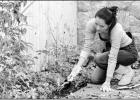 Fall Clean-Up for Home Gardeners