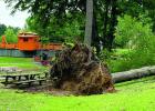 EF2 tornado, storms cripple Cass County area
