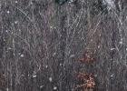 Cass County deals with freezing temperatures
