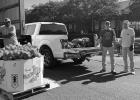 Pumpkin Patch, Fall Festival is back