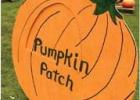 Methodist Pumpkin Patch